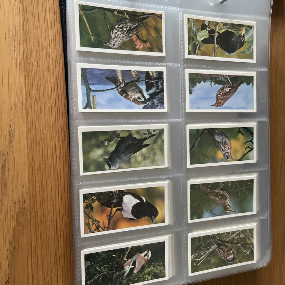 Carreras Craven Black Cat British Birds Full Set of 50 Cigarette cards  - Image 3 of 4