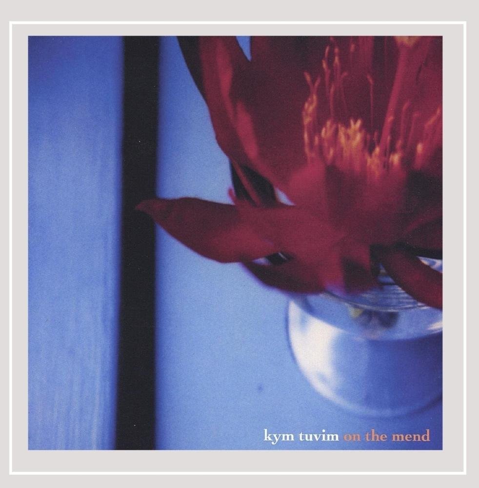 Ким Тувим идет на поправку (CD) (ИМПОРТ из Великобритании)