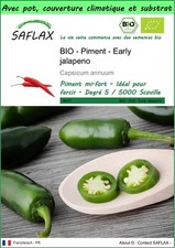 SAFLAX - Garden to go - BIO - Piment  - Early jalapeno - 20 Graines