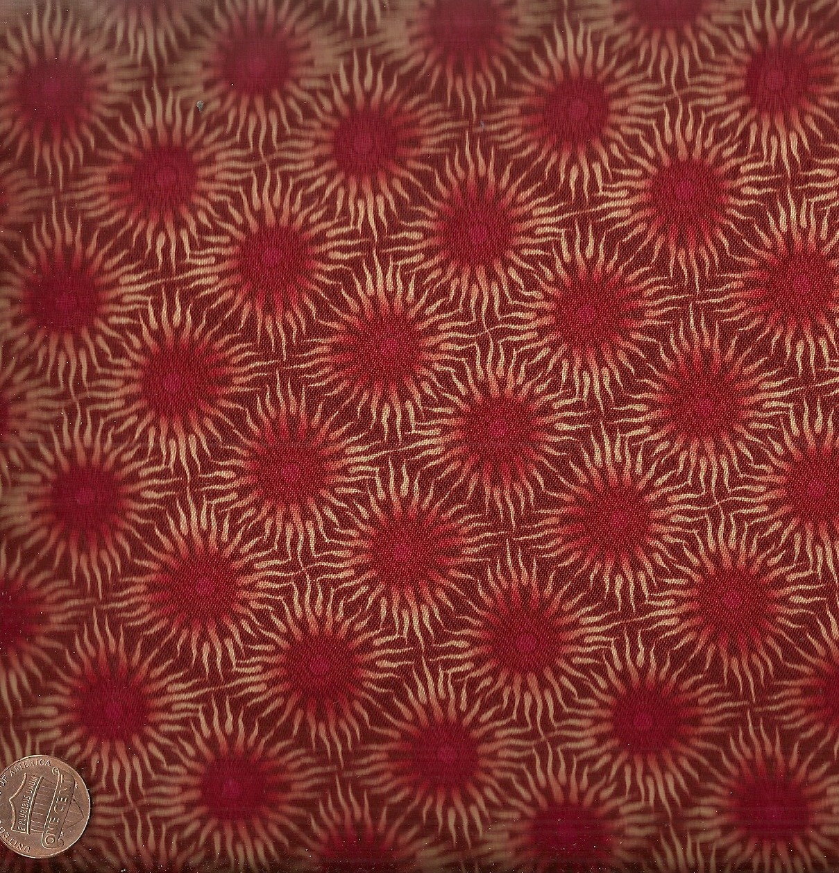 Foto 1 di 1