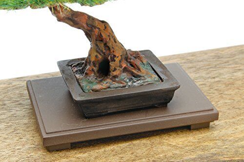 Platz 1/12 The Bonsai Ni Plastic Model Kit BON-02 Free Ship Platz 1/12 The Bonsai Ni Plastic Model Kit BON-02 Free Ship