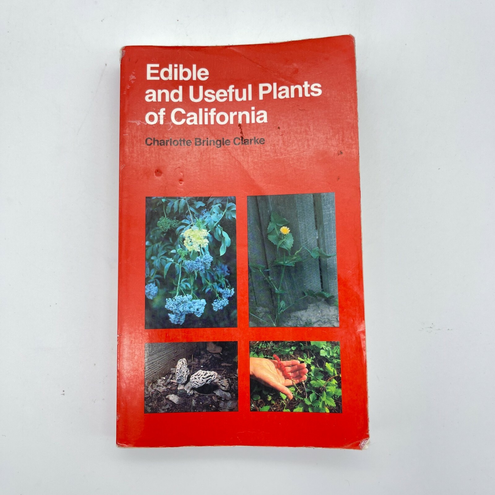 Edible And Useful Plants Of California By Charlotte Bringle Clarke edible-and-useful-plants-of-california-by-charlotte-bringle-clarke