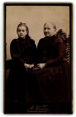 Antique Cdv Circa 1890s A. Wickey Old Seated Lady & Young Girl In Dress Bern Ch