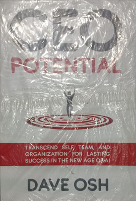 CEO POTENTIAL - TRANSCEND SELF , TEAM, AND ORGANIZATION FOR LASTING SUCCESS 