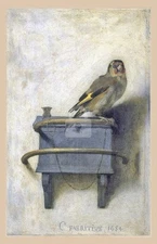 Carel Fabritius, The Goldfinch (1654) *Art Postcard NEW