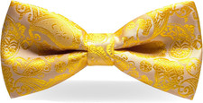 Mens Pre-tied Paisley Bow Tie for Wedding Party Adjustable Bowties