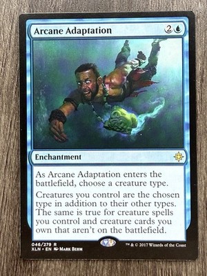 1x Arcane Adaptation Ixalan Regular MTG LP English