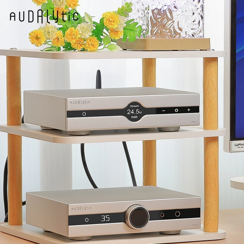 GUSTARD AUDALYTIC DR70 R2R Streaming di rete DAC DSD512 PCM768 Bluetooth 5.0 DAC - Immagine 2 di 4