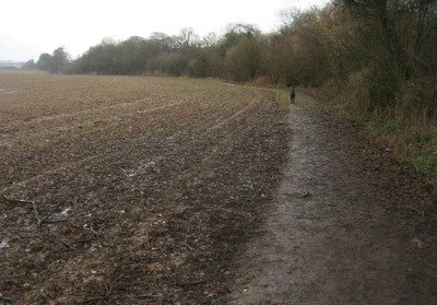 Foto 6x4 Heavy Going - St John's Field (41 Acres) East Oakley Permissive c2016