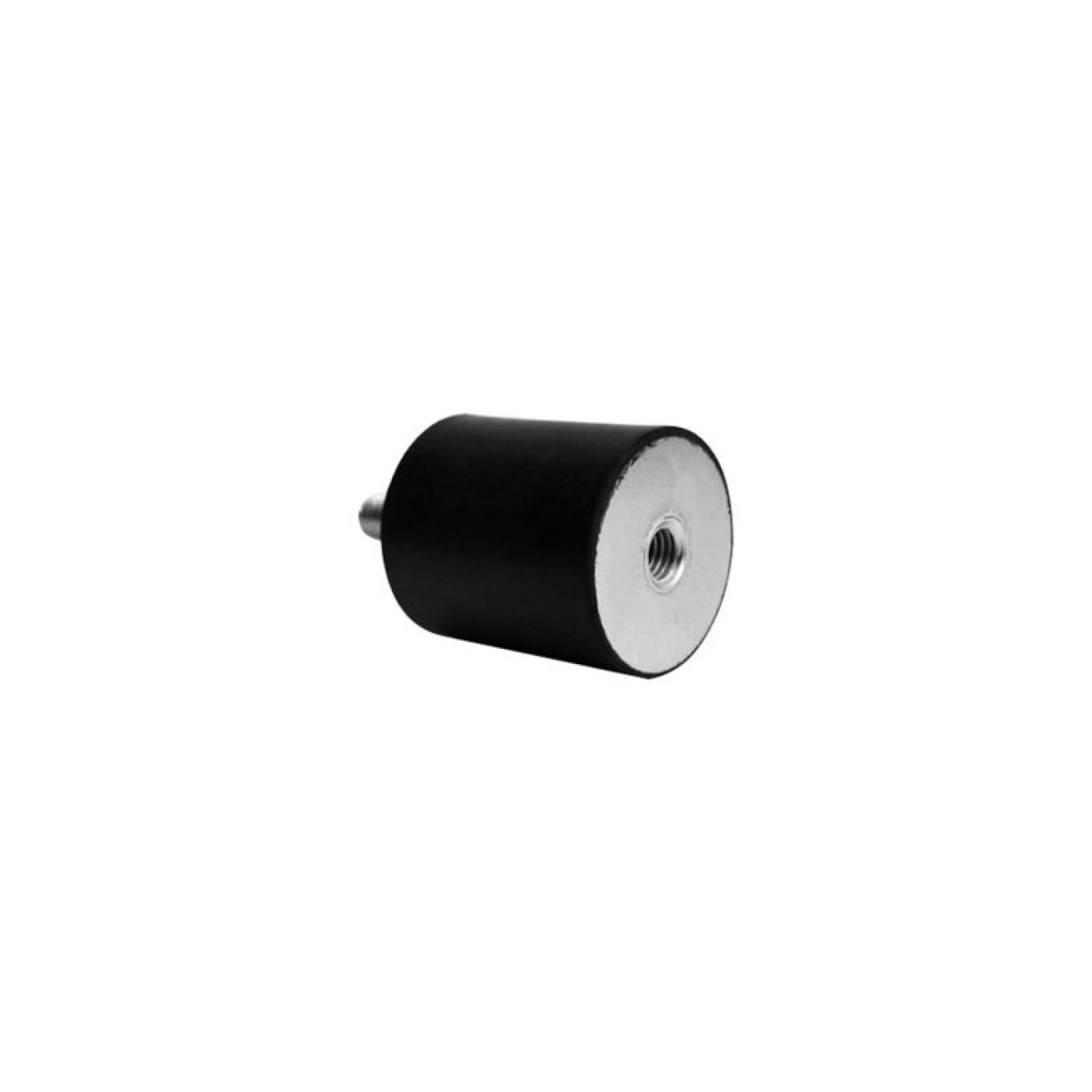 Threaded Foot M6X20 20mm Rubber Steel 1961349