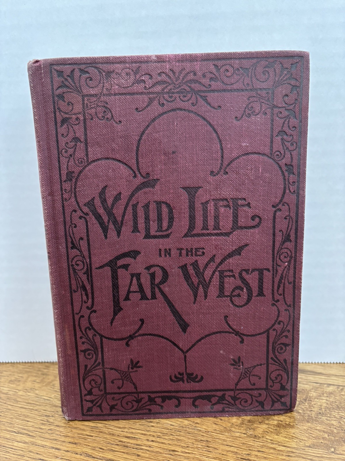 1896 Wild Life In The Far West By C. H. Simpson - great condition!