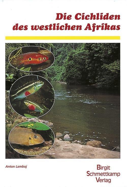 Thumbnail - Die Cichliden Des Westlichen Afrikas | Anton Lamboj | Deutsch | Buch |