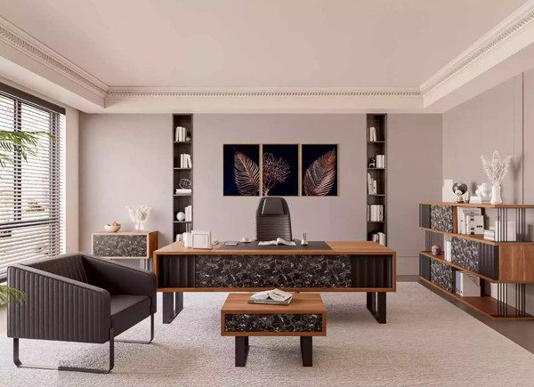 Moderne ArbeitszimmermöBel BüRo Set Schreibtisch Couchtisch Aktenschrank-image