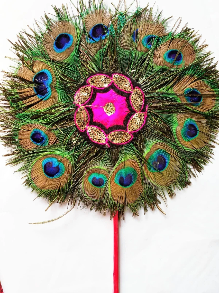 Lovely Natural Peacock Mor Pankh Real Peacock Feather Tails Home Decor Feng  Shui