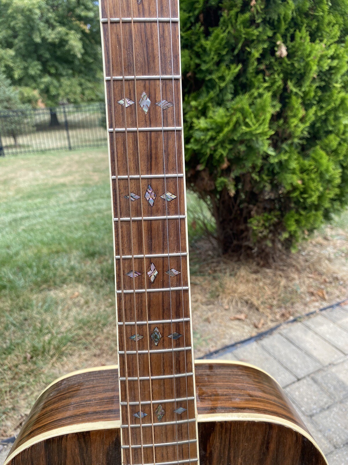 Vintage Dobro Resonator Swamp Guitar Beautiful Wood Back Sides For