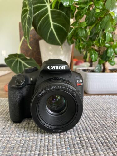 Cámara digital Canon EOS Rebel T6 SLR con lente EF-S 18-55 mm y lente EF 50 mm - Imagen 1 de 11