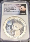 2025 Chinese Silver Panda 1 oz — photo from another recent sale