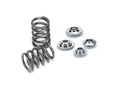 Supertech For SPRK-TS-DUR-DS Duratec Single Valve Spring Kit - 55lbs