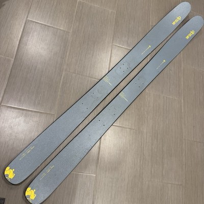 DPS Wailer 112 RPC skis 192cm | eBay