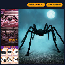 Giant 5 Ft Halloween Spider Outdoor Decoration for Yard, Lawn, Patio  Indoor De