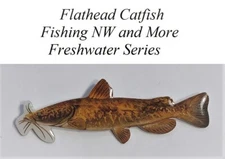 Flathead Catfish Hat or Lapel Pin - Freshwater Series