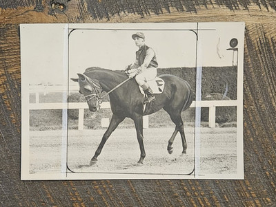 1937 Joe Fleischer Press Photo of Pimlico Futurity Winner Nedayr