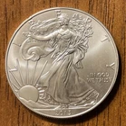 2013 AMERICAN SILVER EAGLE DOLLAR COIN 1 OZ. 999 PURE FINE SILVER