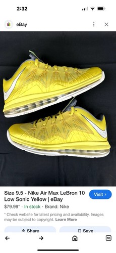 Nike LeBron Zoom