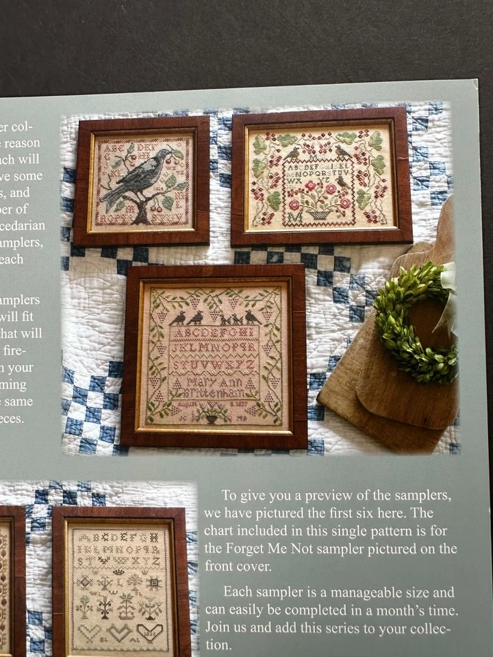 OOP Blackbird Designs Counted Cross Stitch Pattern FORGET ME NOT Loose Feathers - Image 4 of 4