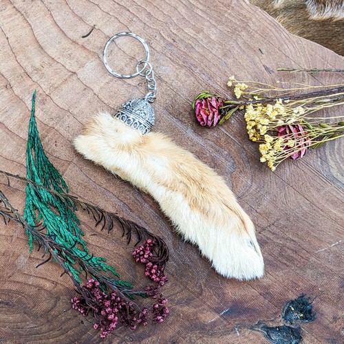 Real Rabbit Foot hook Keychain NATURAL talisman oddities curiosities ...