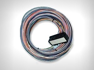 Omex 600 ECU Plug & Tails Semi Loom OMEM1502