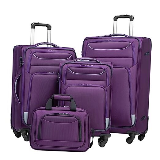 Luggage 4 Piece Set Suitcase Spinner TSA Lock Softshell purple+sliver