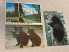 3 Different Bear Postcards (2-posted, 1-unposted) Nice SKU# 33179 — photo 1
