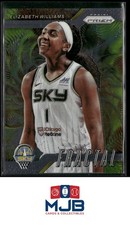 2024 Panini Prizm WNBA Elizabeth Williams Fractal #14