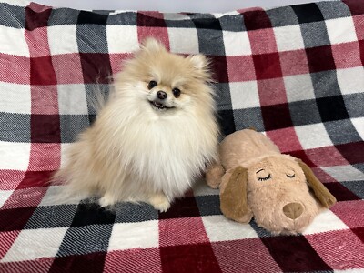 Snuggle Puppy Heartbeat Toy - Reducing Anxiety and Sleep Training in Young Dogs