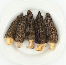 Greenlike Top Grade Dried Wild Morel Mushroom