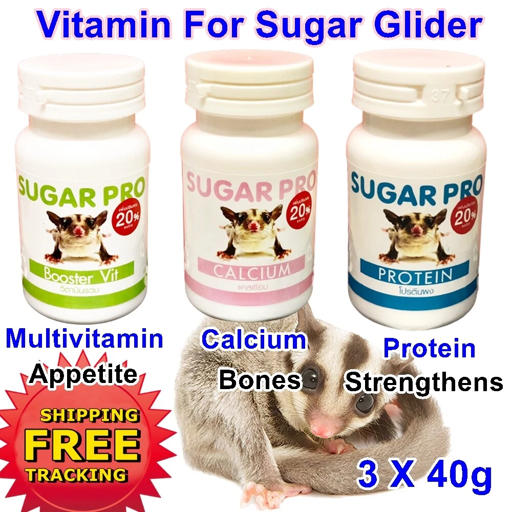 Sugar glider supplements sales