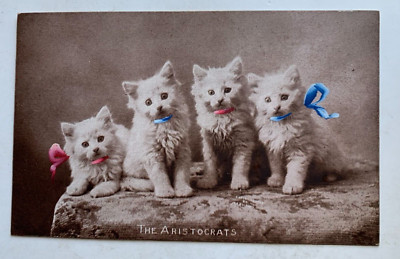Vintage ca 1900s Cats Postcard ''The Aristocrats'' kittens ''Cute Kitty Series''