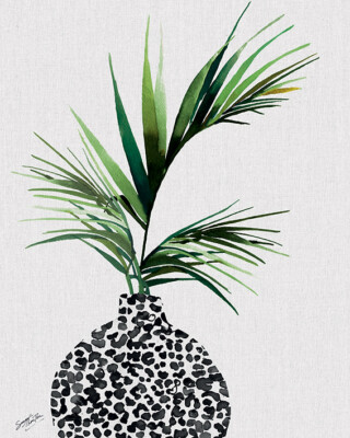 Sommer Thornton - Areca Palmenpflanze - 40 x 50 cm Leinwanddruck Wandkunst WDC94914