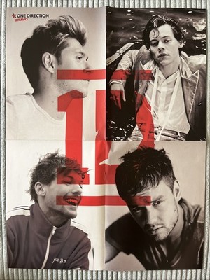 One Direction Harry Styles Liam Payne & Cardi B A2 Poster BRAVO