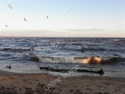 Photo 6x4 Choppy waters, Lough Neagh Ballyronan The weather turned cold a c2011