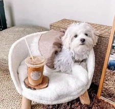 BingoPaw Elevated Pet Bed,Nordic Pet Stool Bed with Cozy Pad Waterproof,Pet Chai