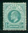 NATAL 101 SG146 MH 1904-08 1/2p grn KEVII Wmk Mult Crown CA CV$12