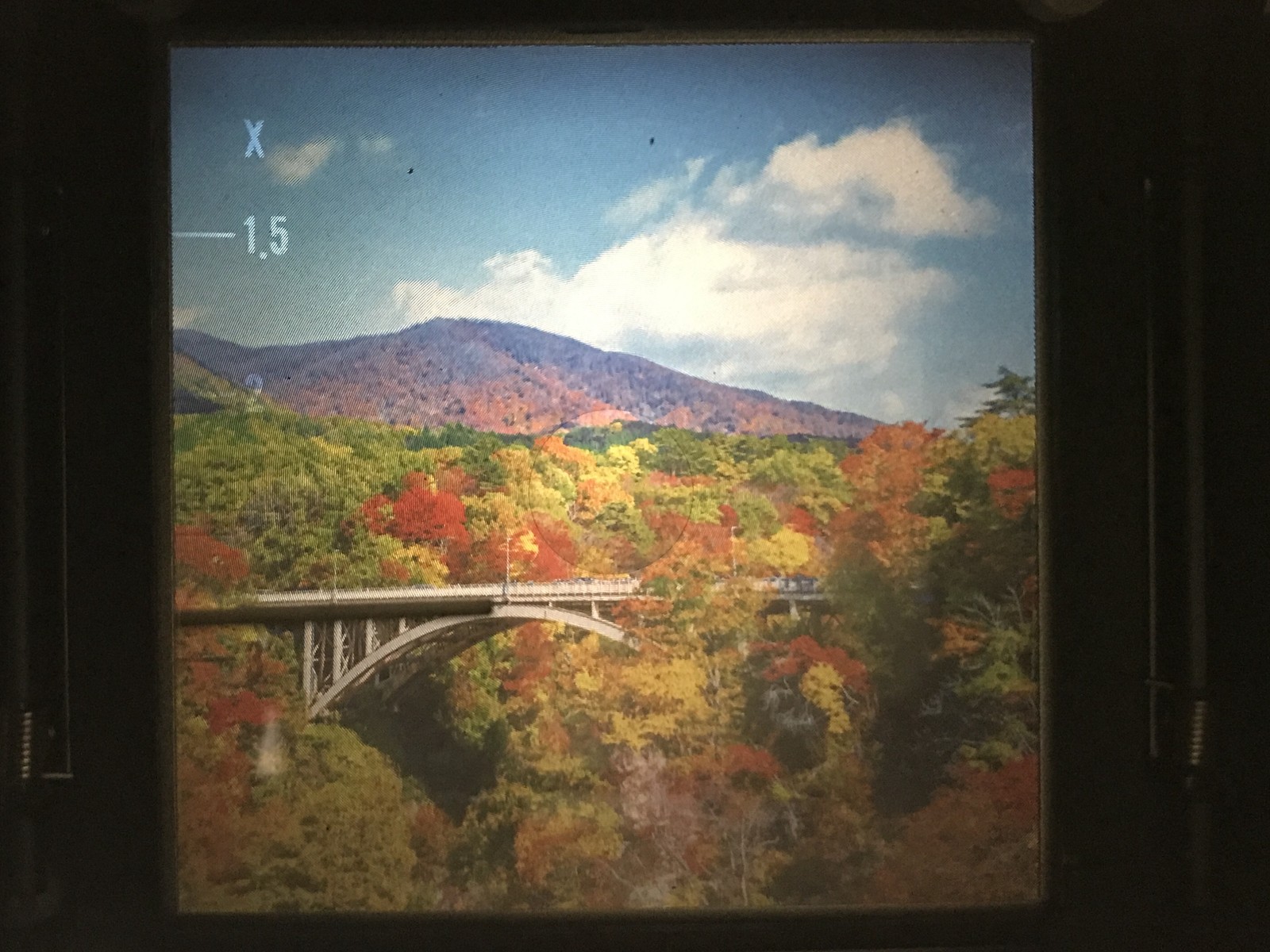Picture 20 of 24
