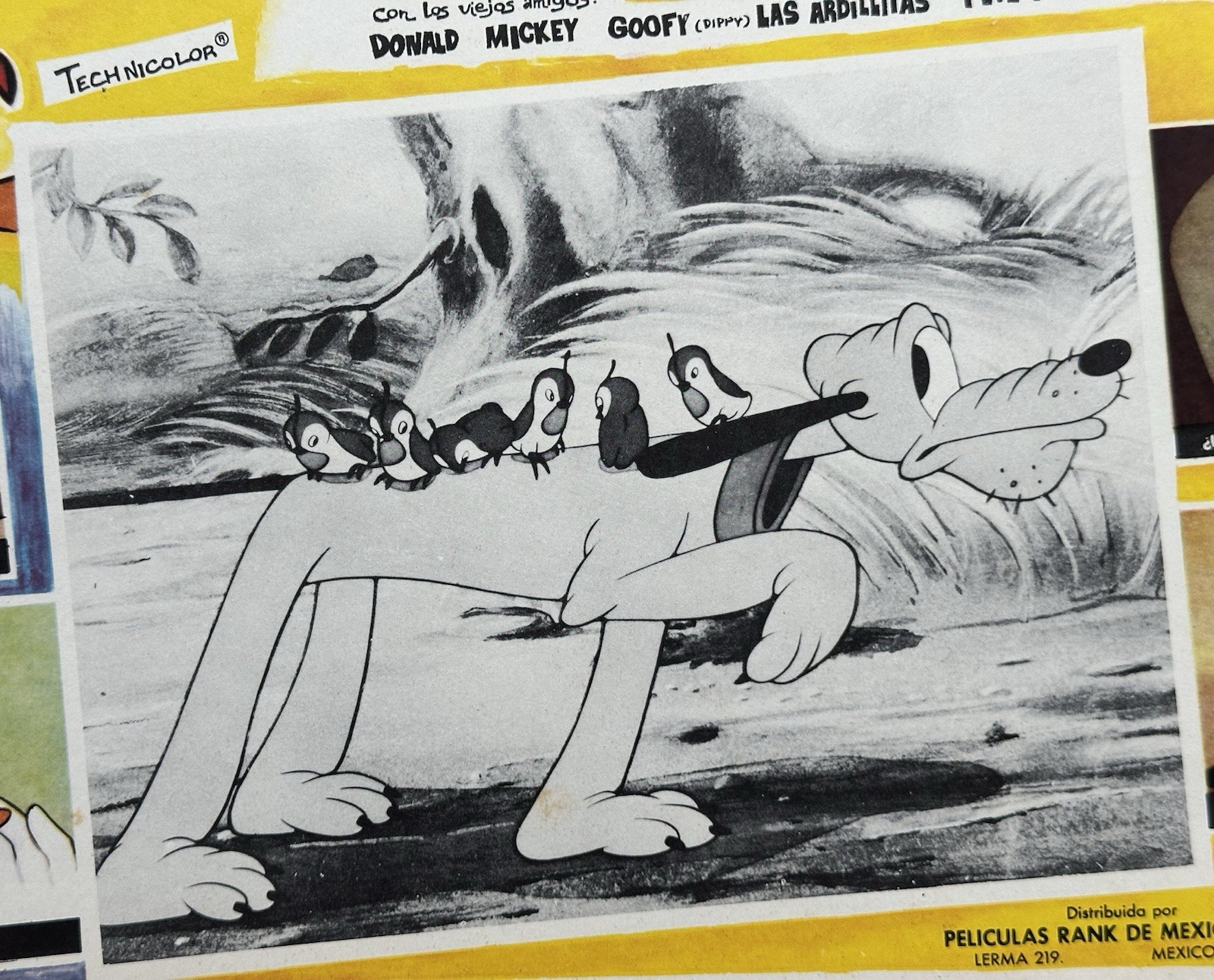 THE HUNTING INSTINT DONALD DUCK WALT DISNEY MEXICAN LOBBY CARD SET 1961 UNUSED