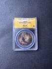 1889 Morgan Silver Dollar $1 PCGS MS60 Details Artificially Toned US Coin
