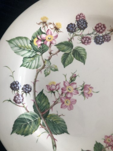 Royal Vale Wild RASPBERRY And Flower Dinner Plate 10 1/2" Porcelain EUC - Picture 3 of 6