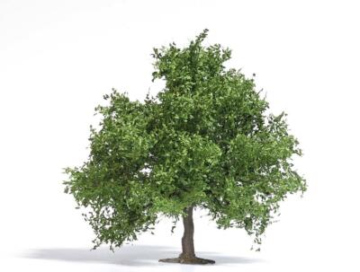 Obstbaum / kleine Eiche 95 mm Feder Spur HO/OO Busch 3661