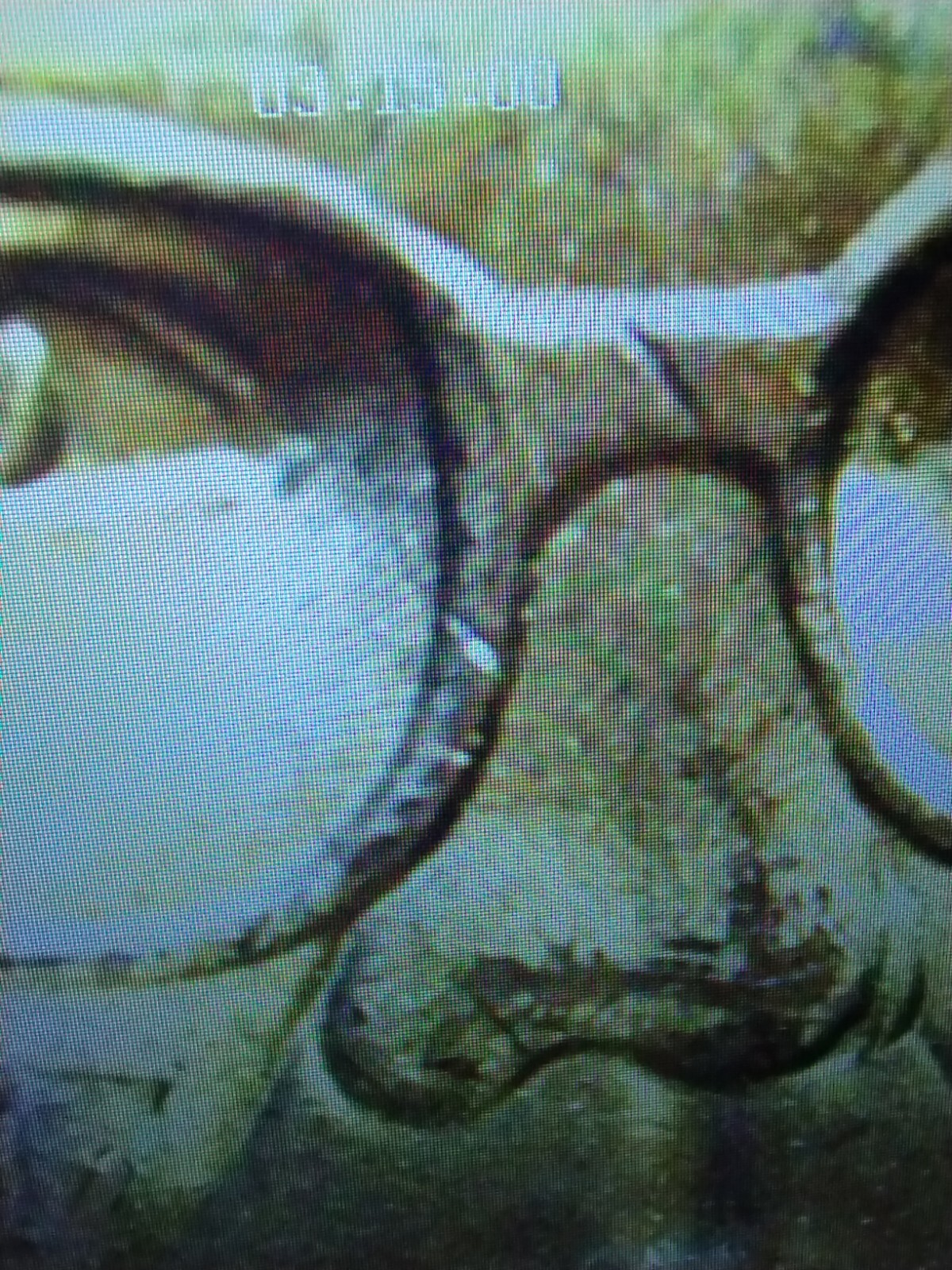 Picture 9 of 9