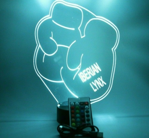 Boxhandschuhe Boxer Nachtlicht Lampe LED personalisiert gratis Gravur & Fernbedienung - Bild 12 von 12